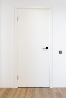 Дверь в эмали  ДГ-6